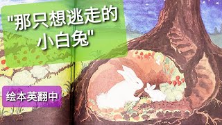 《那只想逃走的小白兔》小白兔和妈妈的俏皮话 母亲对幼子大海般的母爱深沉  翻译自 \