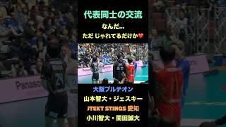 代表同士の交流が見どころだらけな件【大阪ブルテオン】【JTEKT STINGS愛知】バレーボール #volleyball    #japanvolleyball