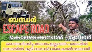 Munnar - Kodaikanal Escape Road | ലോക മഹായുദ്ധ കാലത്ത് ബ്രിട്ടീഷുകാർ രക്ഷപെടാൻ നിർമിച്ച കാട്ടു പാത