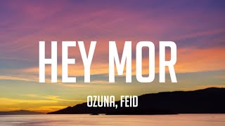 Ozuna, Feid - Hey Mor (Letra_Lyrics)