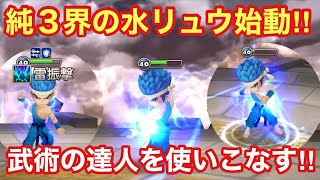 【サマナーズウォー】純３界の水リュウことルアンでワールドアリーナ！武術の達人を使いこなす！