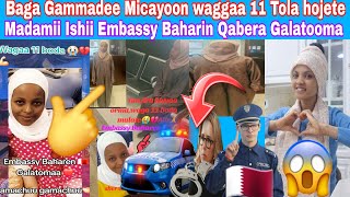 🛑#Bagaa#Gammadan micayoon waggaa 11 tola hojete madamin ishii embassy qaberaa galatoomaa 💪👌👍🇶🇦🙏