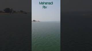 Mahanadi river 900km length   #shorts