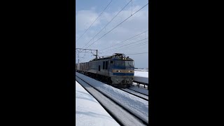 EF510-507けん引上りJR貨物（JR撫牛子駅）22.02.13