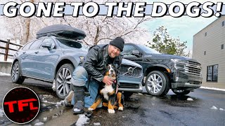 Blaze The TFL Dog Reviews The 2021 Volvo V90 Cross Country: Does He Prefer It Over The Chevy Tahoe?