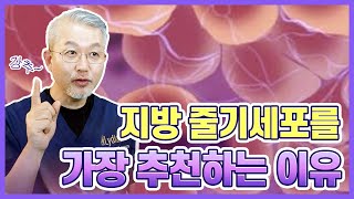 지방 유래 줄기세포가 재생의학의 미래인 이유!