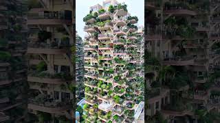 Vertical forest in Chengdu #skyscraper #dronevideo