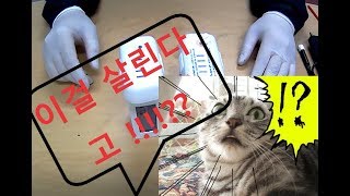 팬텀2 배터리 (PHANTOM2 battery) 살릴수 있을까?