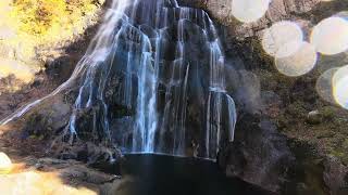 紅葉満開の安の滝✨