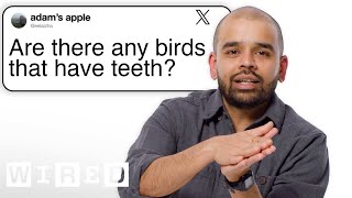Bird Expert Answers Bird Tweets From Twitter 🐦  | Tech Support | WIRED