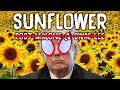 Post Malone, Swae Lee - Sunflower (Cover by Donald Trump)