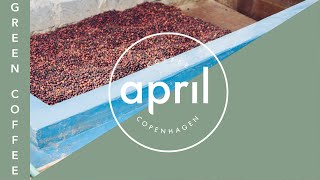 Observations from Our Recent Visit to Kenya | Coffee with April #101