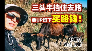 (vlog01)藏在浙江丽水的江南秘境-云和梯田\u0026松阳小城