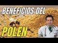 Polen: El Superalimento Olvidado y sus Impactantes Beneficios