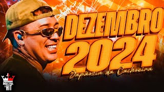 JAPÃOZIN 2024 -  REPERTÓRIO DEZEMBRO ATUALIZADO 2024 100% PAREDÃO - REMASTERIZADO - ULTRA QUALIDADE