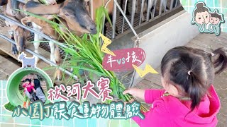 VLOG # 一日小園丁 宜蘭宜農農場 l Cherryrry雀蕊蕊