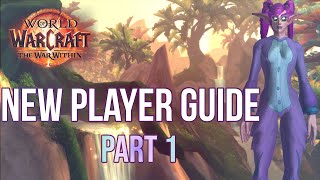 WoW New Players Guide (2025) - Choosing your Realm, Character \u0026 Starting Zone!