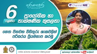 නෙත පිනවන විසිතුරු ශාකවලින් පරිසරය ප්‍රියමනාප කරමු - 6 ශ්‍රේණිය (ප්‍රායෝගික තාක්ෂණික කුසලතා)