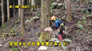 奥三河魅力創造カンパニー　豊根森林組合　作業風景