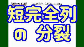 プチ定義集：短完全列の分裂