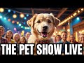 Don't Miss Out! Dog & Cat Advice on The Pet Show Live Stream 08-10-24