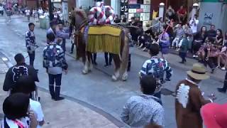 ぼした祭り 2018.9.16 藤崎八幡宮例大祭 27番熊花有志会・24番 青連馬道会 ・28番京陵会・29番JR燕会・30番一新会・31番青年江原会・32番若藤会  全70団体奉納　銀杏通り