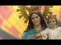 Santo Rosario de hoy Viernes 26 Abril de 2024 📿 Misterios Dolorosos #TeleVID #SantoRosario