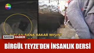 Bircan inek 3 saatte enkazdan kurtarıldı