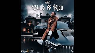 450 - Wild N Rich (Official Audio)
