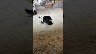 Boy plays with dog in the snow in Heilongjiang, China