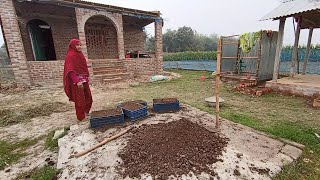 সামনে বৃষ্টির কথা মাথায় রেখে শাক সবজি রোপণ করছে জুই । village life with jui