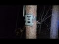 surprise checking trail cameras at night