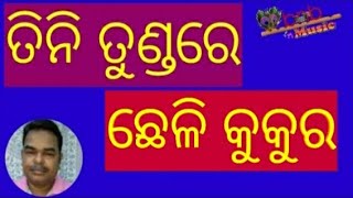 ତିନି ତୁଣ୍ଡରେ ଛେଳି କୁକୁର ଅର୍ଥ ସତ୍ୟତା ଉପରେ ସନ୍ଦେହ//tini tundare chheli kukura arthat//bnbmusic//#Batak