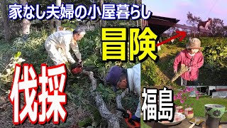 ドキュメント【50代無職　家なし夫婦の小屋暮らし】猫の冒険、伐採、福島から届いた○○で猫とのひととき　優貴プロジェクト