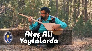 Ateş Ali - Yaylalarda