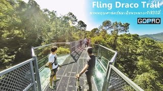 Flying Draco Trail Canopy Walk สวนพฤษศาสตร์สมเด็จพระนางเจ้าสิริกิติ์