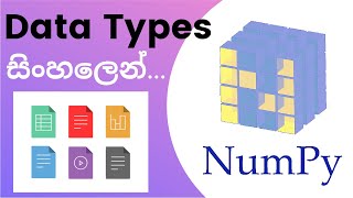 Python Numpy Tutorial - 05 | Data Types | Sinhala