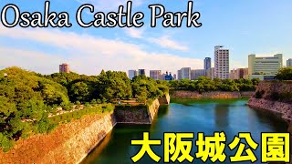 【大阪】残暑がまだまだ厳しい8月末の大阪城公園を散歩   Walk in Osaka Castle Park at the end of August 4K