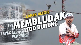 EVENT NEW AYLA LAPAK ALEXIS PESERTA MEMBLUDAK,