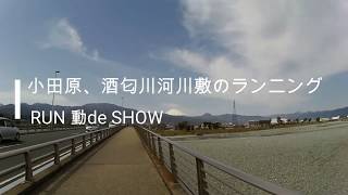 RUN動deＳＨＯＷ　酒匂川河川敷ランニング