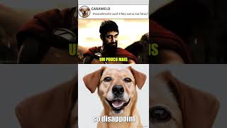 Caramelo reacts #shorts #memes