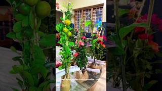 ഏത് ചെടിയും ഇതുപോലെ സ്വന്തമാക്കൂ 💚🌹❤️ Online Plant sale Wayanadan Touch Garden #shortsfeed #shorts