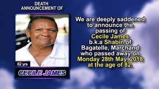 Cecile James short