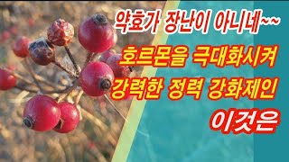 약효가 장난이 아니네~ 호르몬을 극대화시켜 강력한 정력 강화제인 이것은