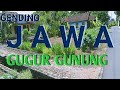 GENDING JAWA GUGUR GUNUNG - GENDING LAWAS NYAMLENG - UYON UYON JAWA MERDU - DILARAS SINAMBI NGASO