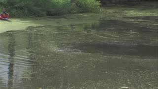 Body found in Terre Haute cemetery pond was likely there for days before a caretaker found him