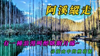 海王子【一想天開去旅行】/阿溪縱走/浪漫眠月線/阿里山森林遊樂區/沼平車站/塔山站/眠月站/石猴站/眠月神木/心中的桃花源~水漾森林/