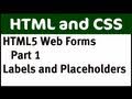 HTML Web Forms Part 1: Labels and Placeholders