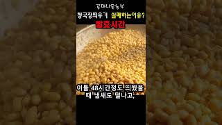 청국장발효 실패하는 이유? 발효시간 (띄우는법) korean traditional food