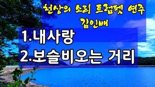 내 사랑.보슬비 오는 거리/트럼펫 연주:김인배